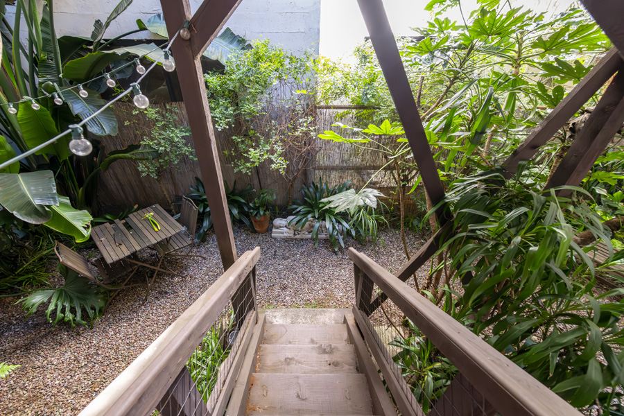15_back_yard