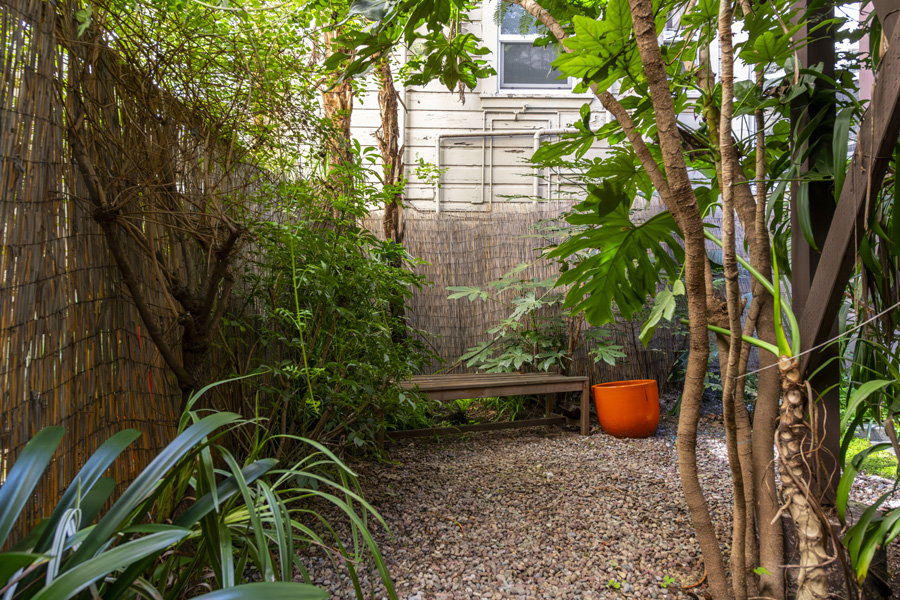 16_back_yard