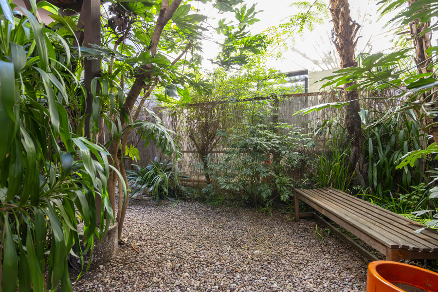 17_back_yard