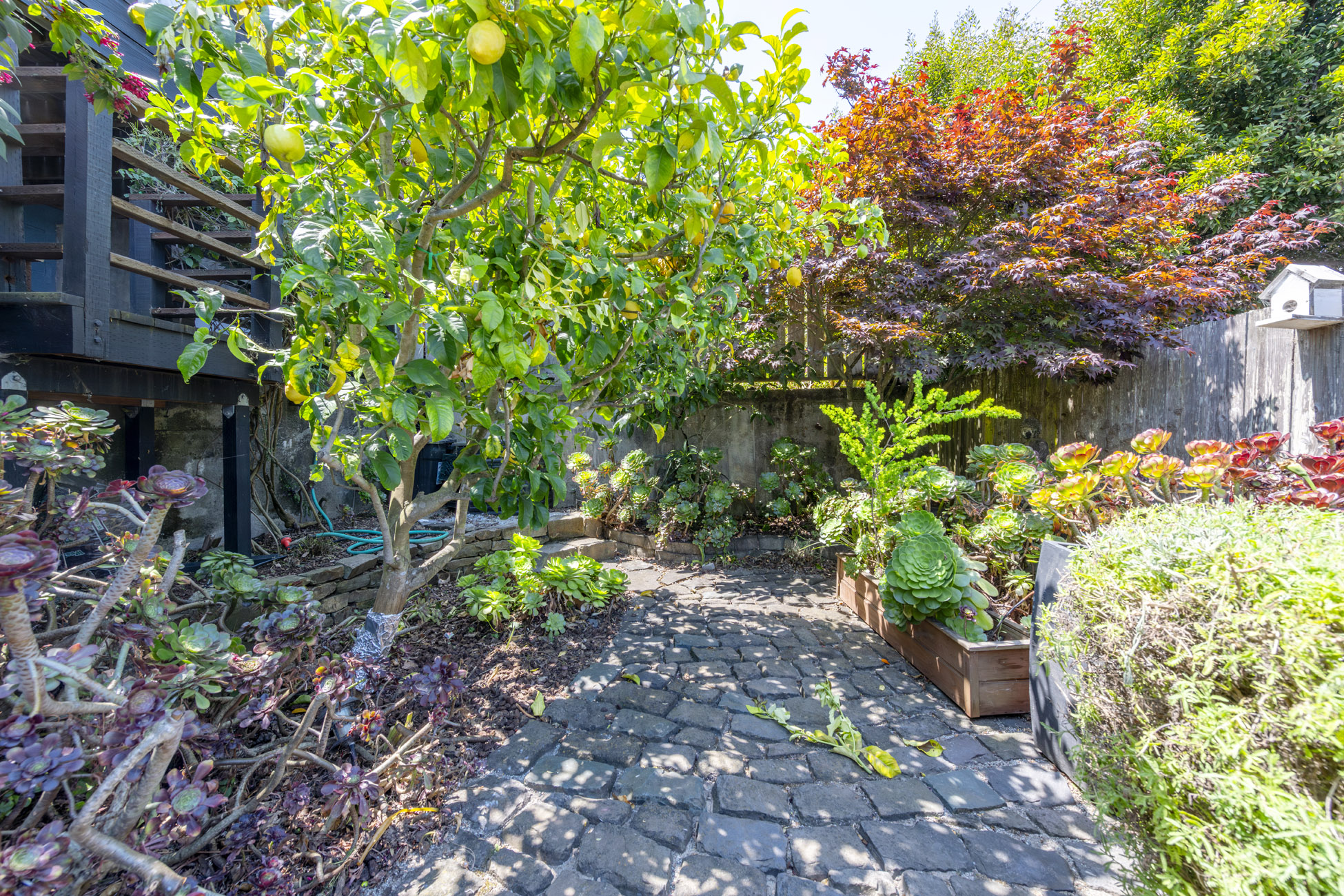 33_garden
