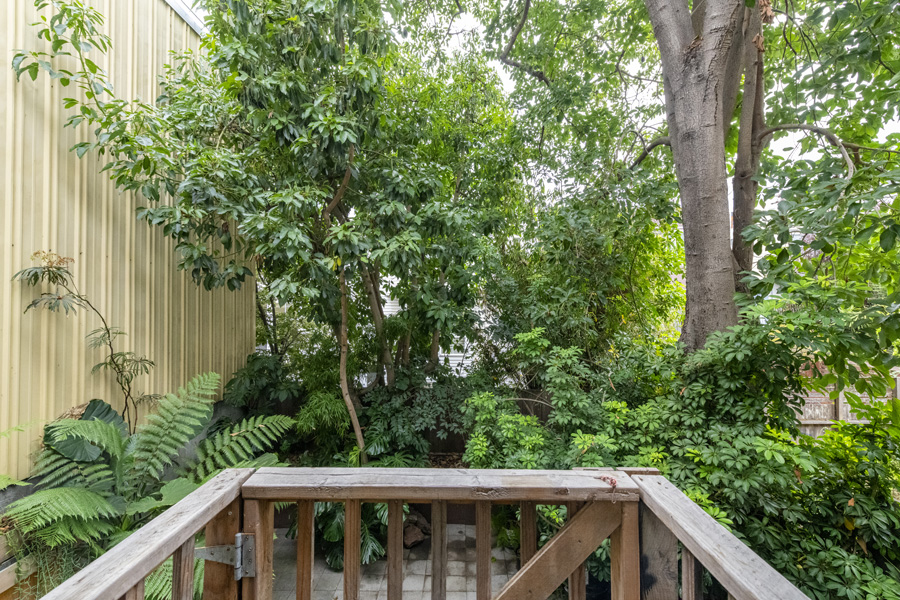 40_back_yard