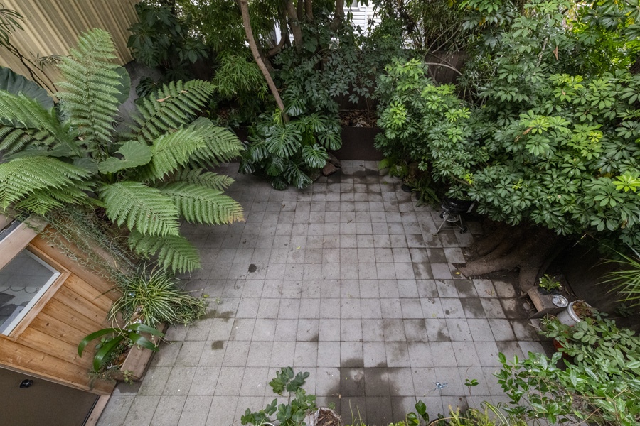 41_back_yard