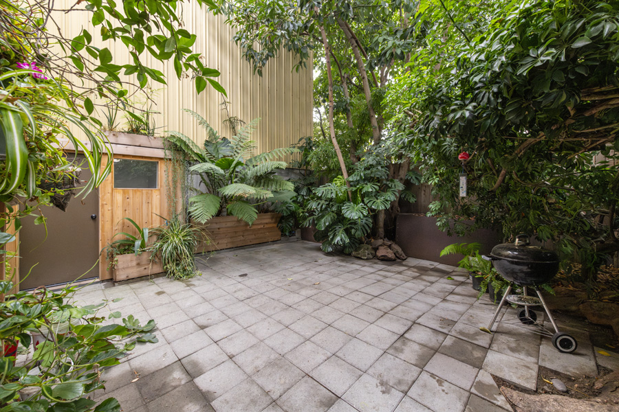 42_back_yard