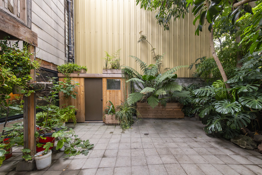 43_back_yard