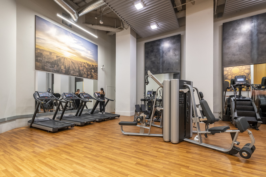 53_gym